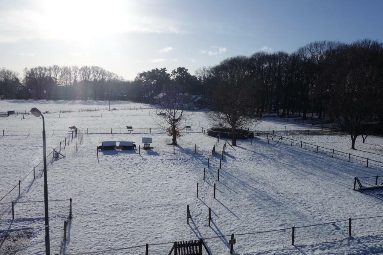B&B Achterom Loon op Zand Exterior foto